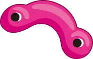 ボルダリング ピンク