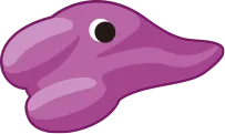 ボルダリング パープル