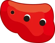 ボルダリング レッド